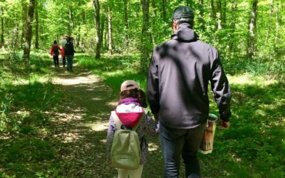 Balade sylvatique : « Parent ou Grand-parent / Enfant »