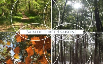 Bain de forêt 4 SAISONS
