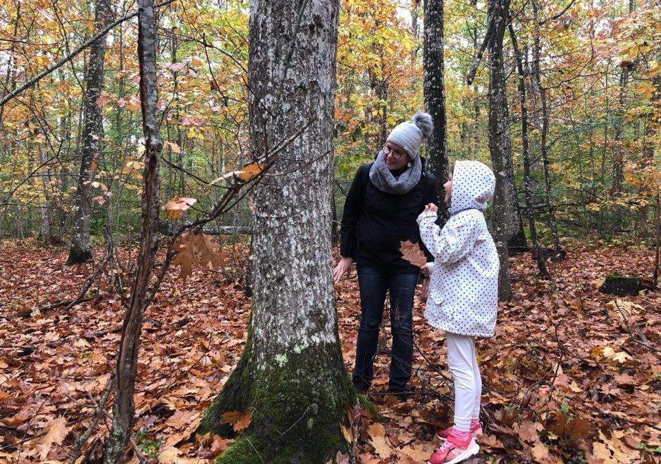 Bain de forêt « Adulte/Enfant » raconté par #kidiklik86