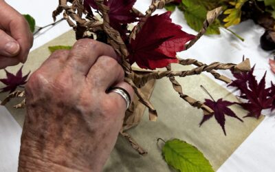 Article Le7.info « Ateliers SENSibles »