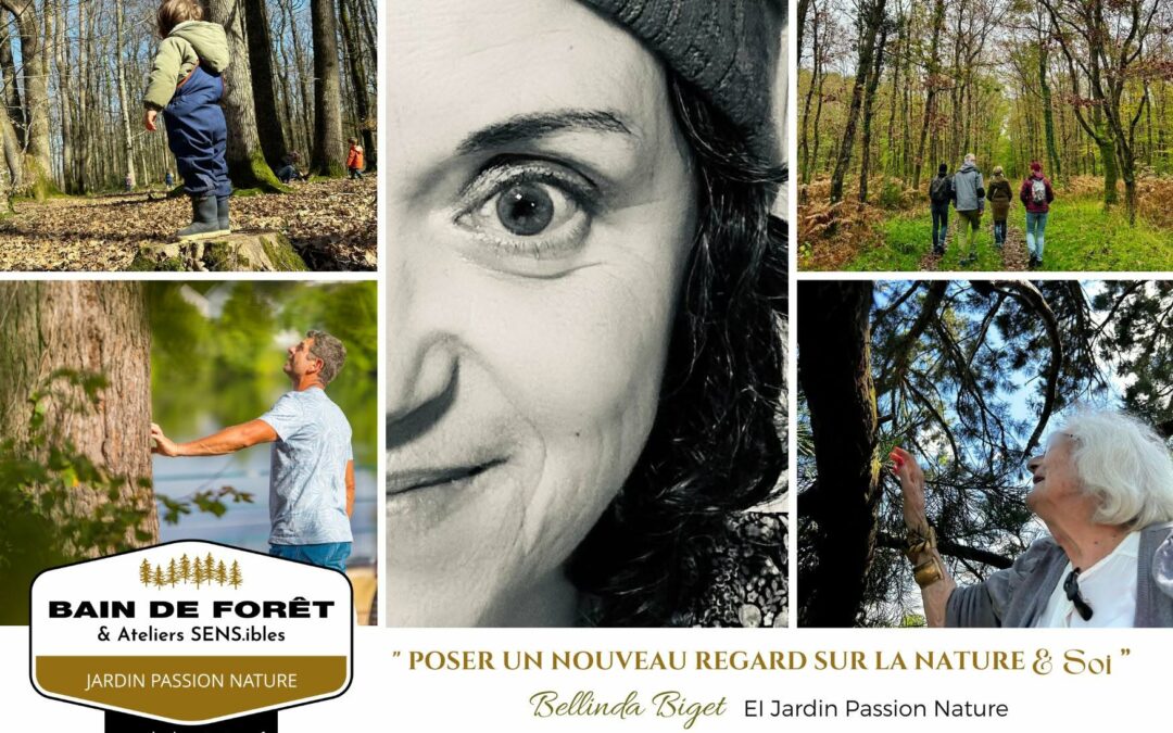 Nouvelle carte de visite !