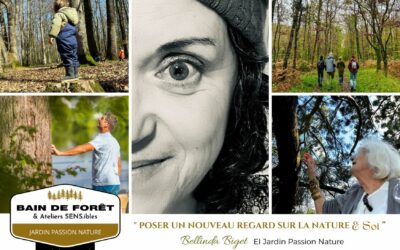 Nouvelle carte de visite !