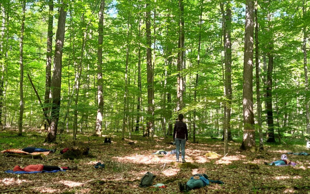 Écriture spontanée infusée d’un Bain de forêt…