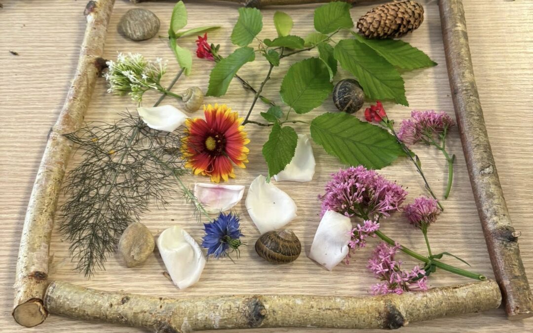 « Atelier SENS.ible » en EHPAD