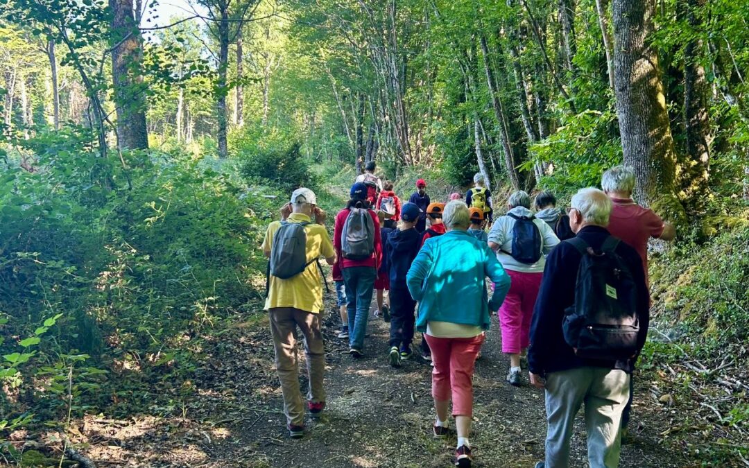 Un Bain de forêt… unique…