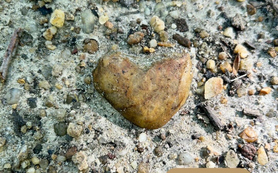 Parfois, j’ai peur, je doute, je m’inquiète…