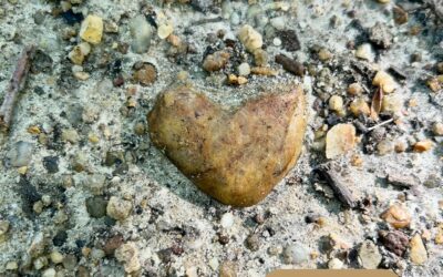 Parfois, j’ai peur, je doute, je m’inquiète…