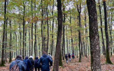 Être au contact de la nature apaise…