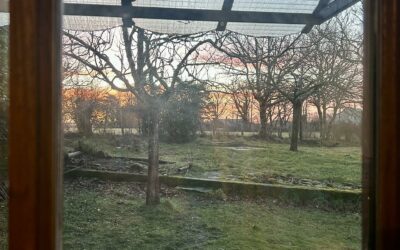 Ce n’était pas un rêve…