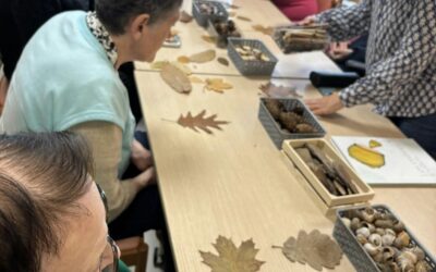 EHPAD La Brunetterie