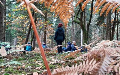 Bain de Forêt automnale !
