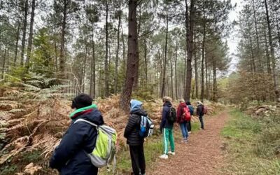 Ateliers Ligue contre le cancer